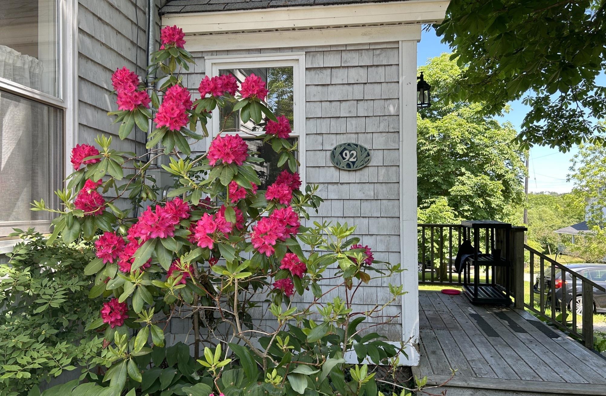 A vibrant pink rhododendron bush in front of a grey shingled house with the number 92 on the wall and a wooden porch.