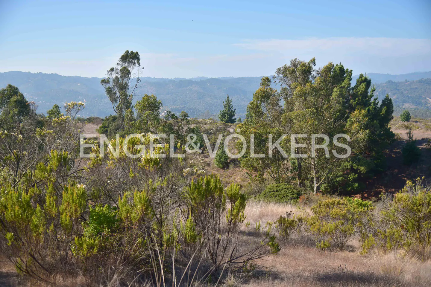 Landscape view with green trees, shrubs, and dry grass under a blue sky. Distant hills are visible. Engel & Volkers logo overlay.