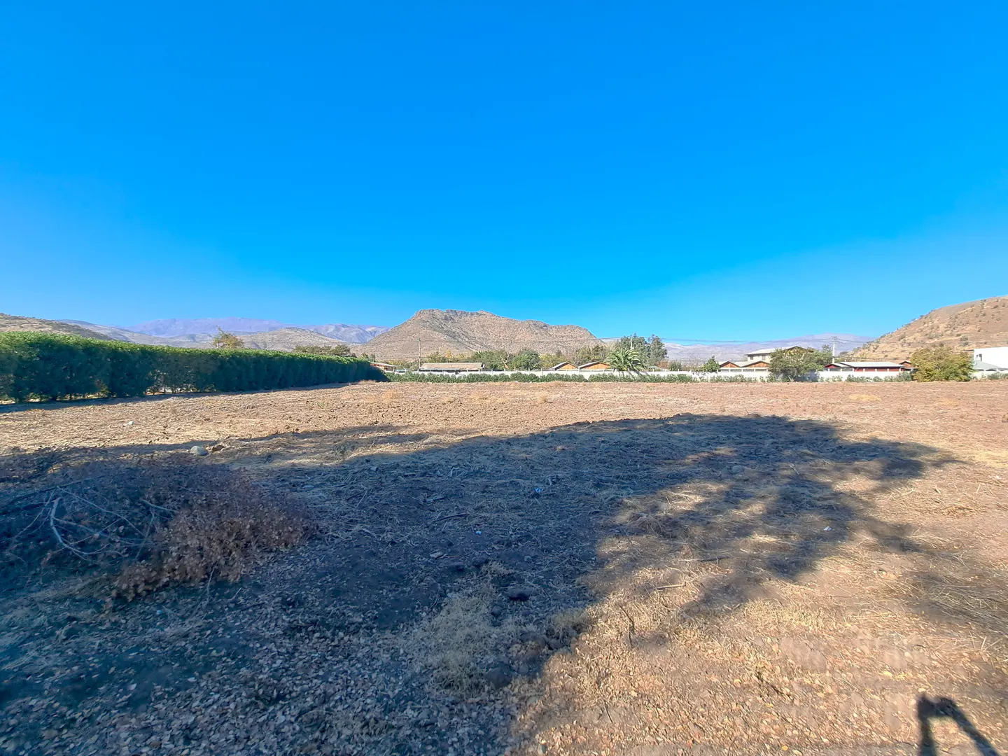 Vacant lot with dry, brown soil under a clear blue sky. Green hedge lines the back, with mountains in the distance.
