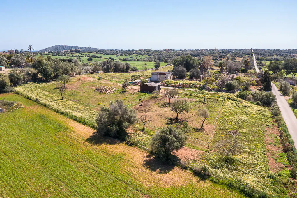 Aerial view of a rural property with green fields, trees, a small building, and a horse grazing in a fenced area.