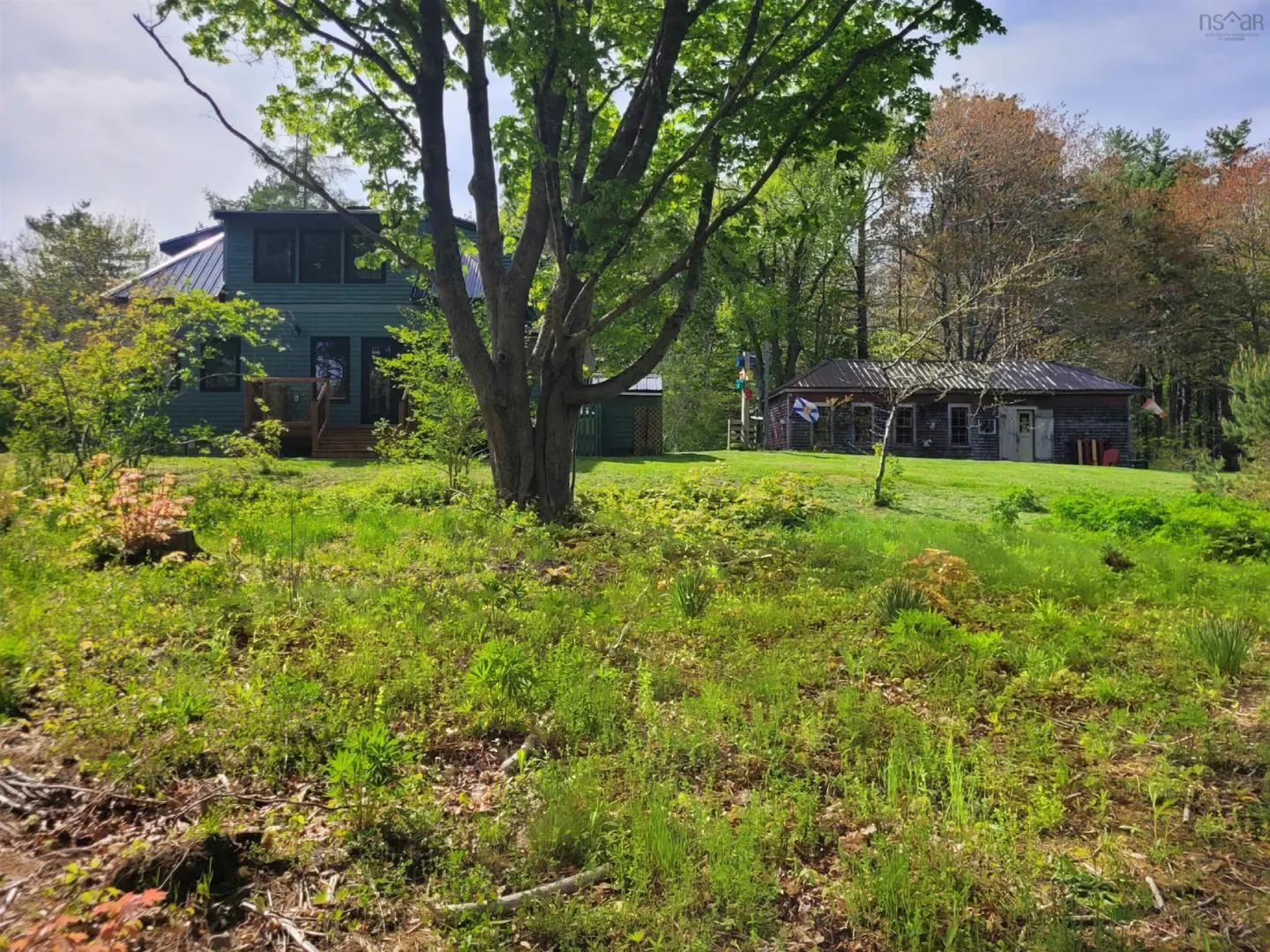 A green house with a metal roof is surrounded by trees and grass.