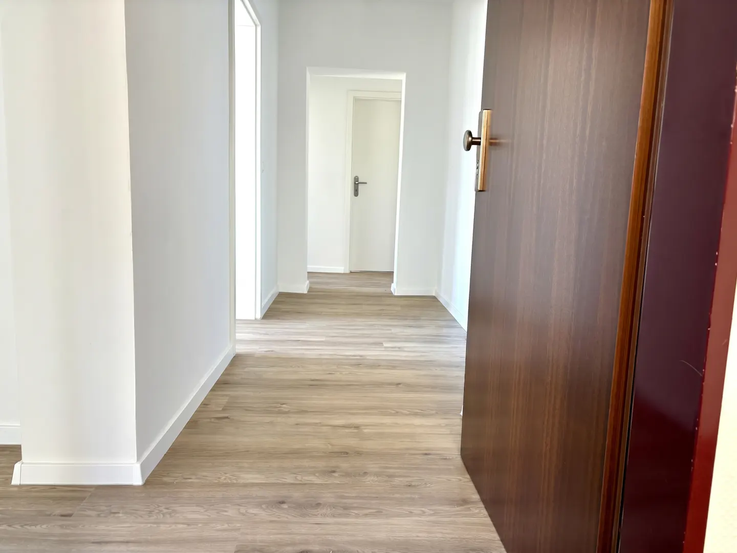 A bright hallway with light wood-look flooring, white walls, and a dark wooden door in the foreground.