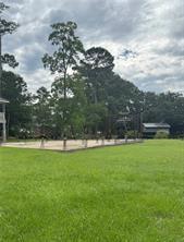 Build Your Dream Waterfront Retreat on Bayou Bonfouca