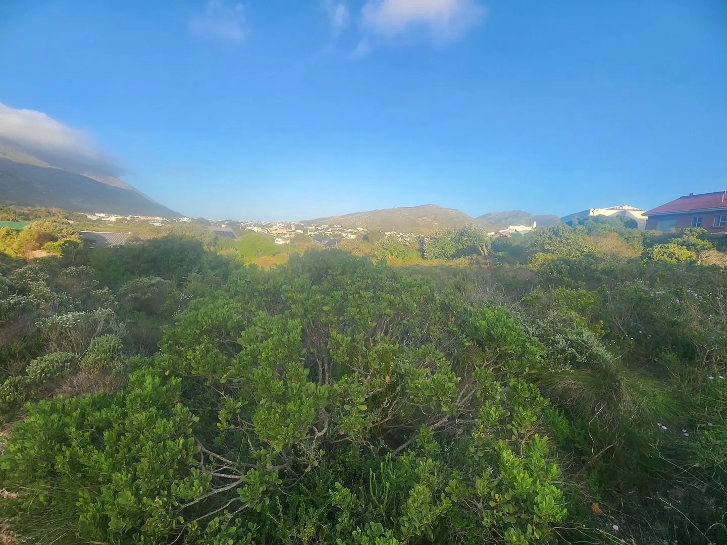 Panoramic mountain views