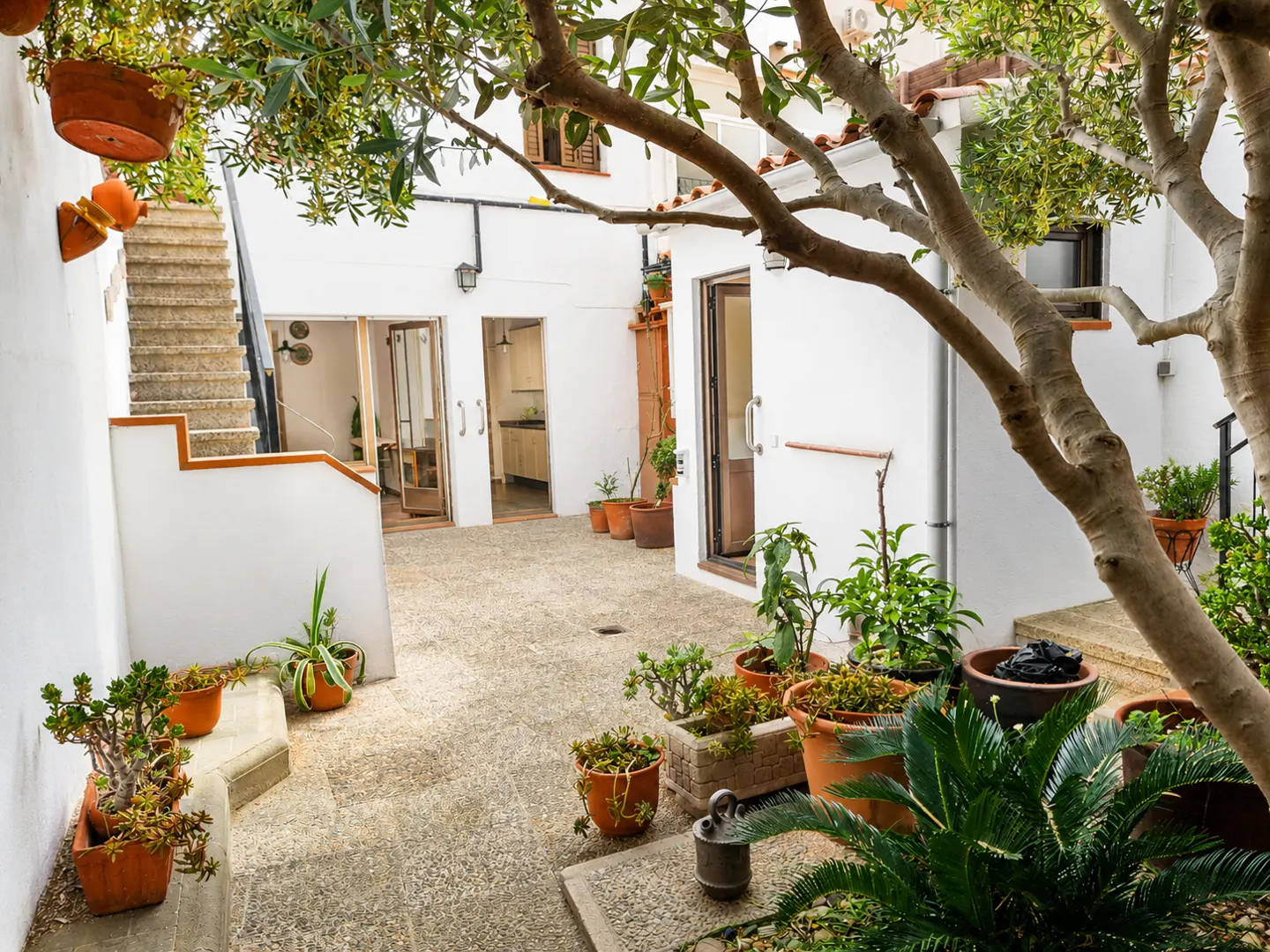 Courtyard view with potted plants, white walls, and stone steps. Open doors reveal a kitchen. A tree's branches frame the scene.