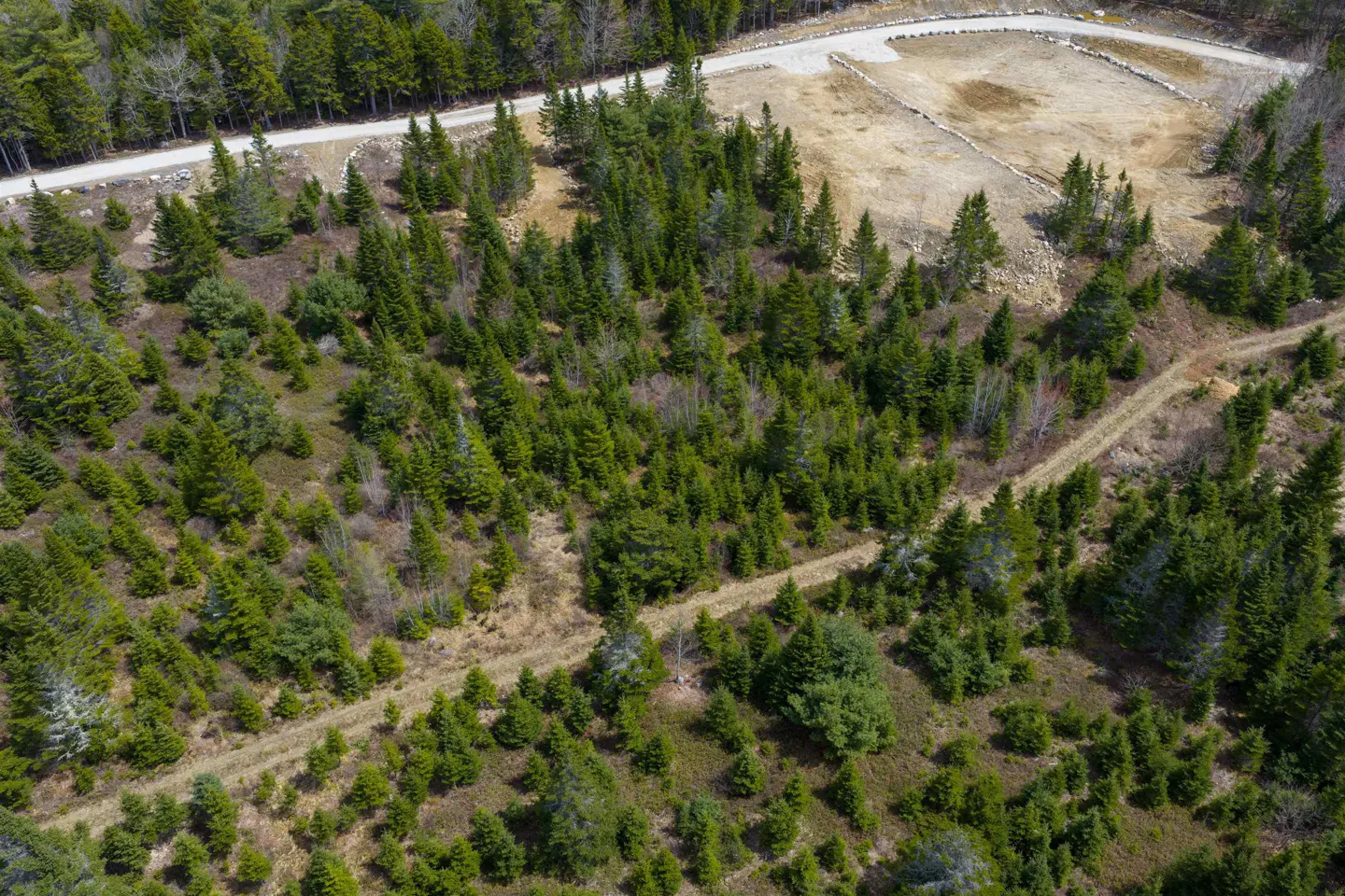Aerial view of a wooded lot with green trees, dirt roads, and a cleared area with stone borders.