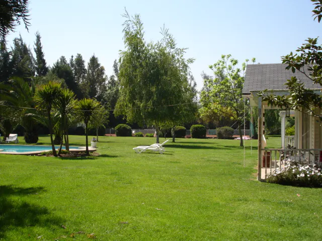 Lush green lawn with trees, a pool, and a white lounge chair. A house with a porch is on the right.
