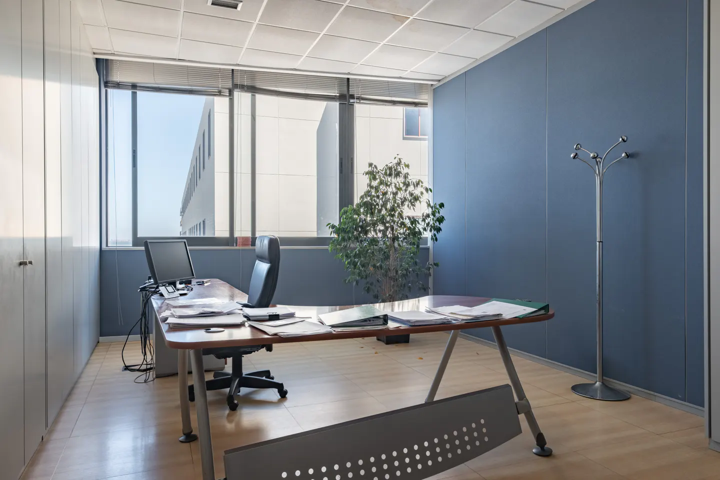 Modern office with a curved desk, black chair, potted plant, and blue accent wall, overlooking a neighboring building.