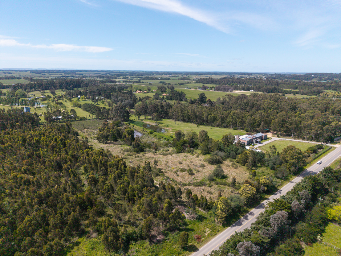 2.5-hectare farm on Golf Road