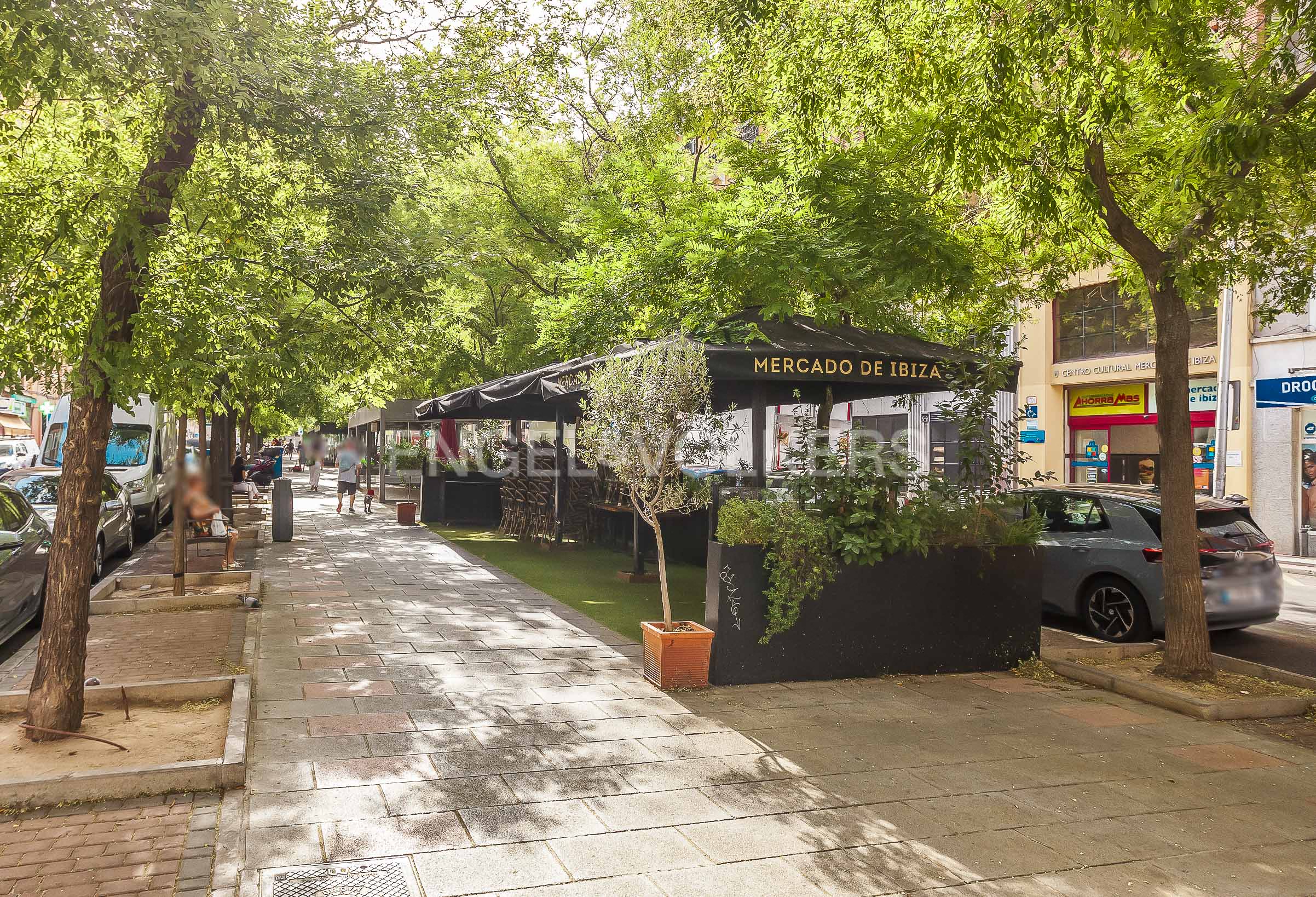 Exclusive remodeled apartment beside El Retiro Park: a home with spacious rooms, luxurious finishes, and abundant natural light