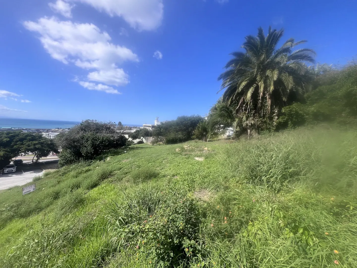 IMG_0619.jpeg