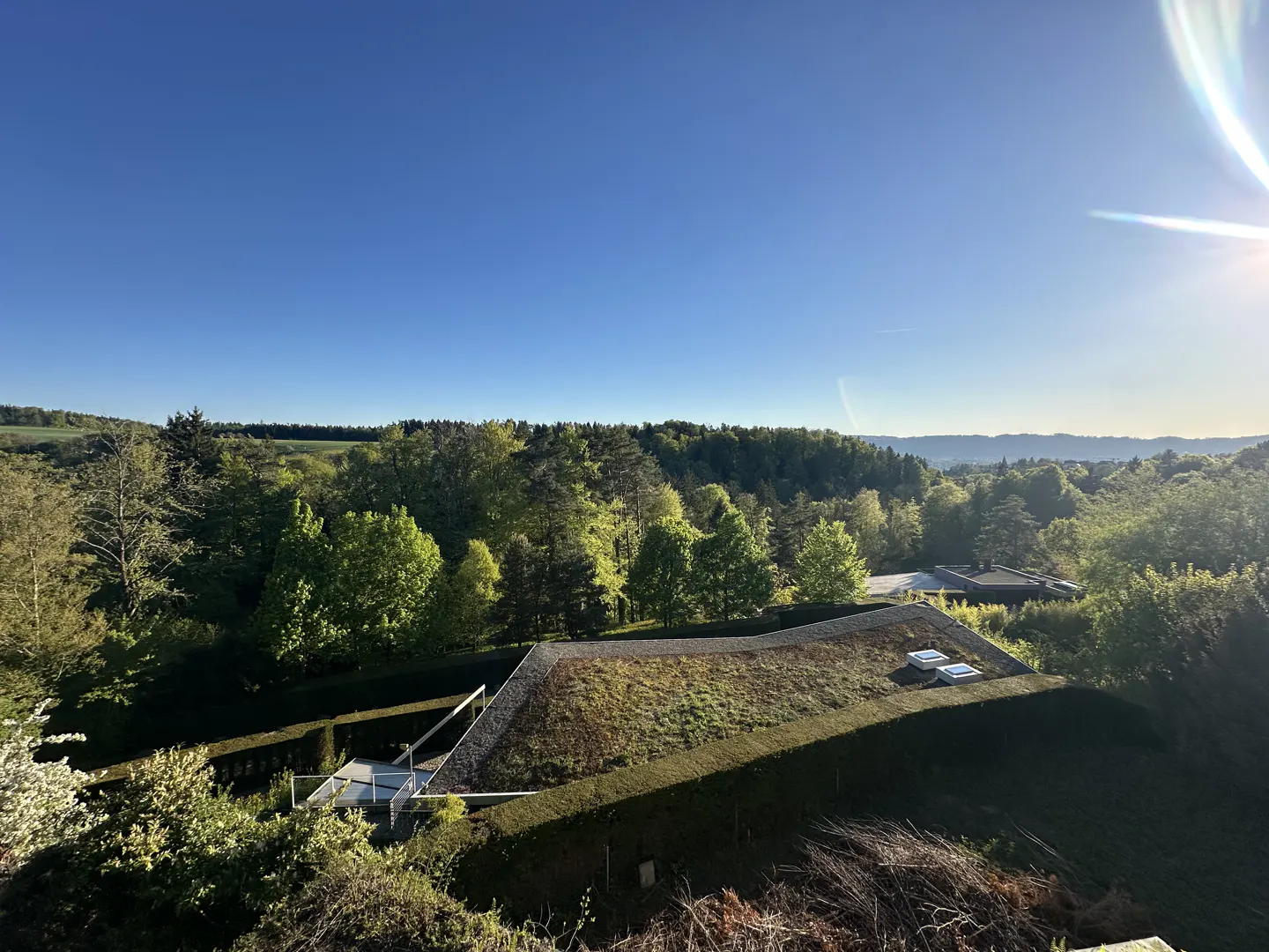 A modern house with a green roof blends into a lush, green landscape under a clear blue sky.