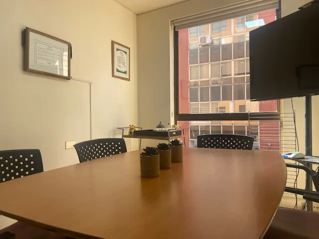 A conference room with a large wooden table, black chairs, and three small potted plants in the center. A window shows a building across the street.