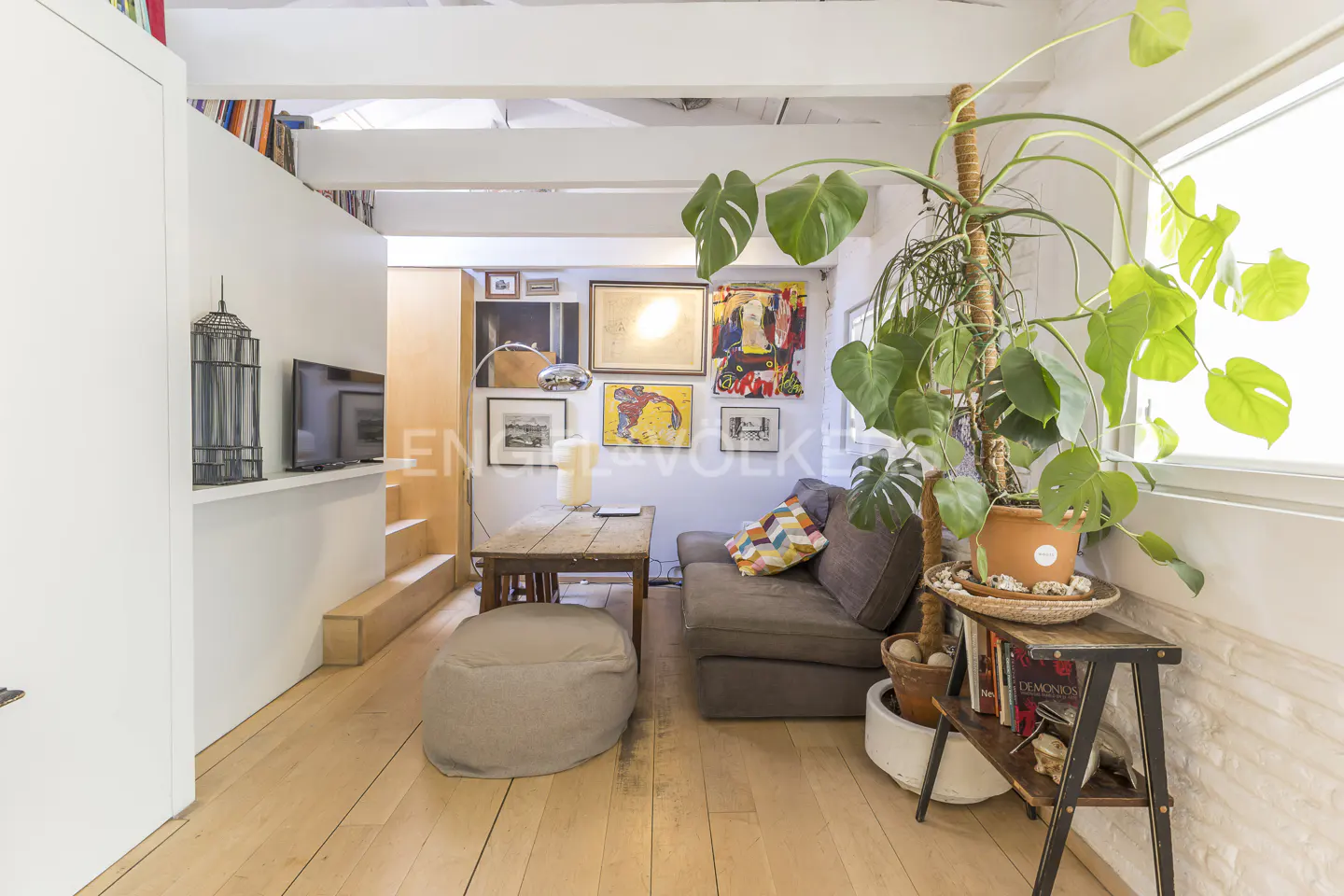 Bright living room with wood floors, a gray sofa, a wooden table, and a large Monstera plant by the window. Art adorns the walls.