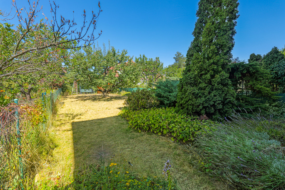 A sunny backyard with a grassy lawn, lush green trees, a tall evergreen, and a wire fence under a clear blue sky. [AI-generated text]