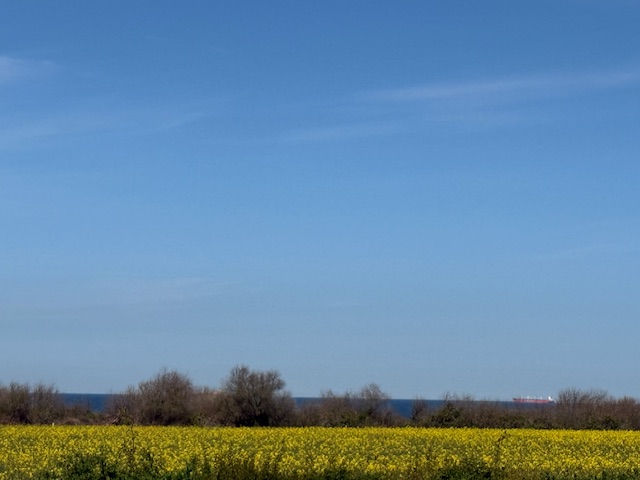 Ostseebad Nienhagen - Eigentumswohnung im Haus ,,Seeblick"