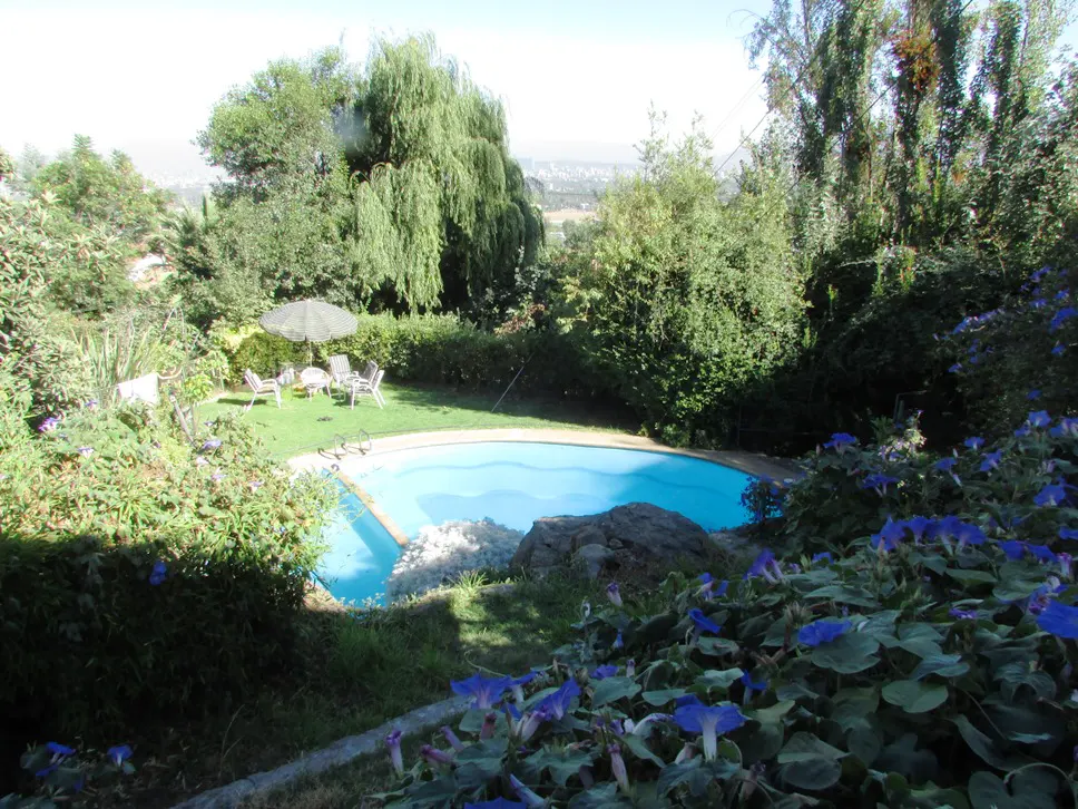 A backyard with a blue pool, green grass, and an umbrella with chairs.