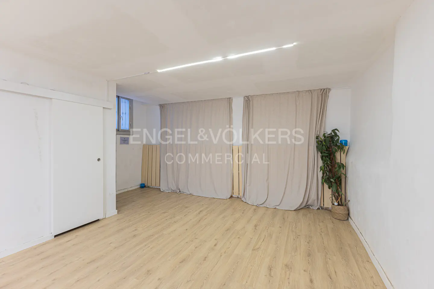 Bright, empty commercial space with light wood floors, white walls, and beige curtains. A potted plant sits in the corner.