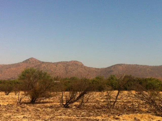 Arid landscape with brown hills under a clear blue sky. Sparse trees dot the foreground.