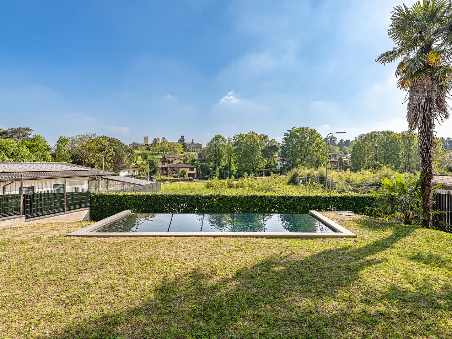 Rectangular pool in a grassy yard with a tall hedge, palm tree, and buildings in the background under a blue sky.
