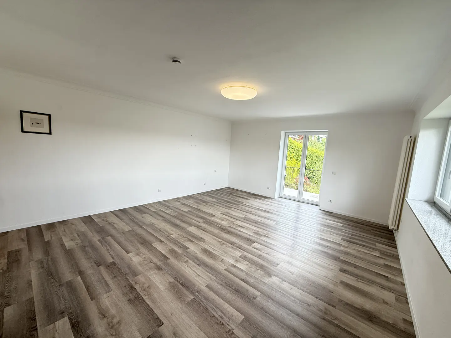 Bright, empty room with wood-look floors, white walls, and a ceiling light. A framed picture hangs on the left wall, and a glass door leads to a green outdoor space.