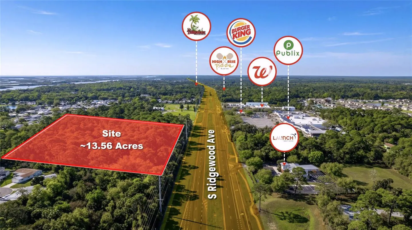 Aerial view of a 13.56-acre site outlined in red, near S Ridgewood Ave, with nearby businesses like Burger King and Publix.