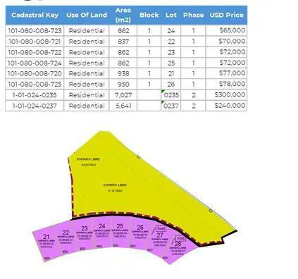 Real estate listing showing a table of residential lots with prices and a map of the lots, colored yellow and purple.