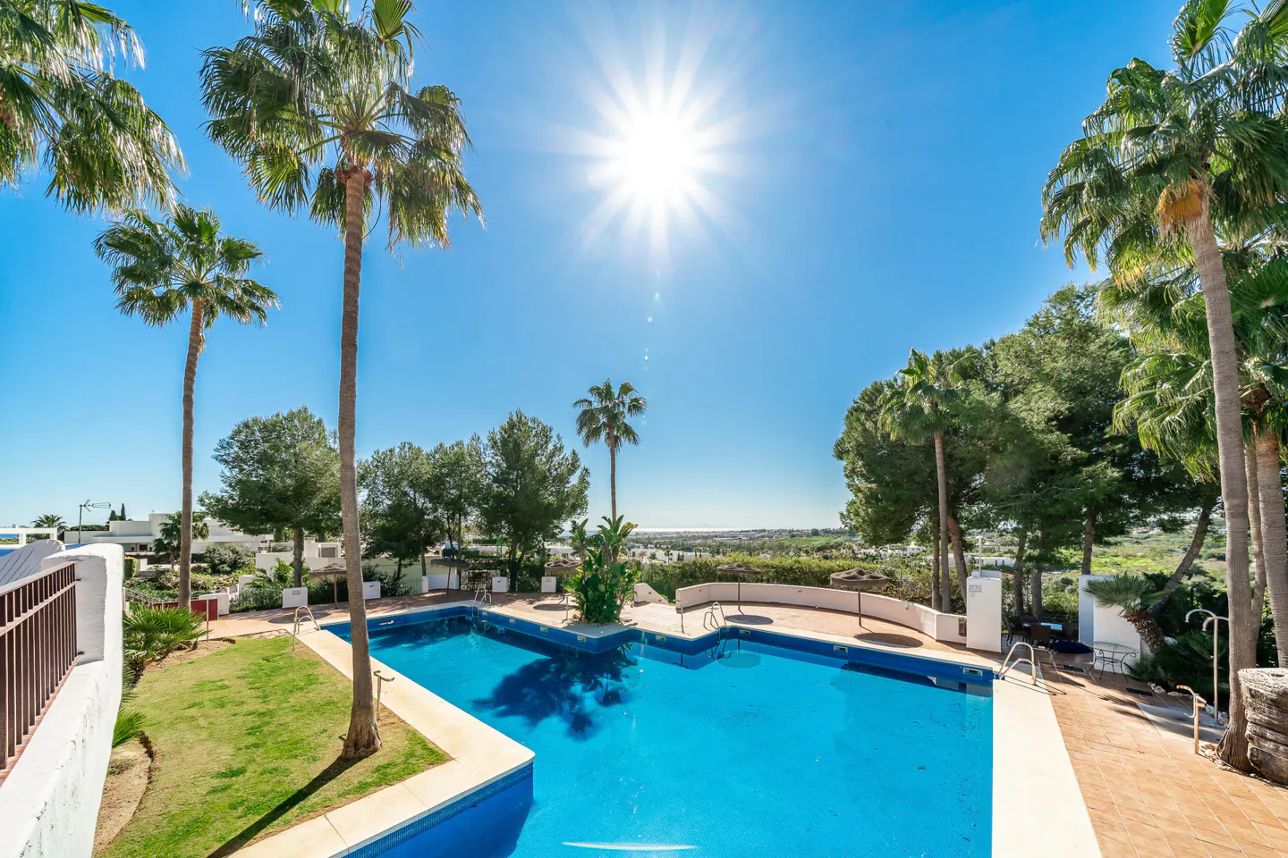 A sunny, high-angle view of a blue swimming pool surrounded by palm trees and green grass.