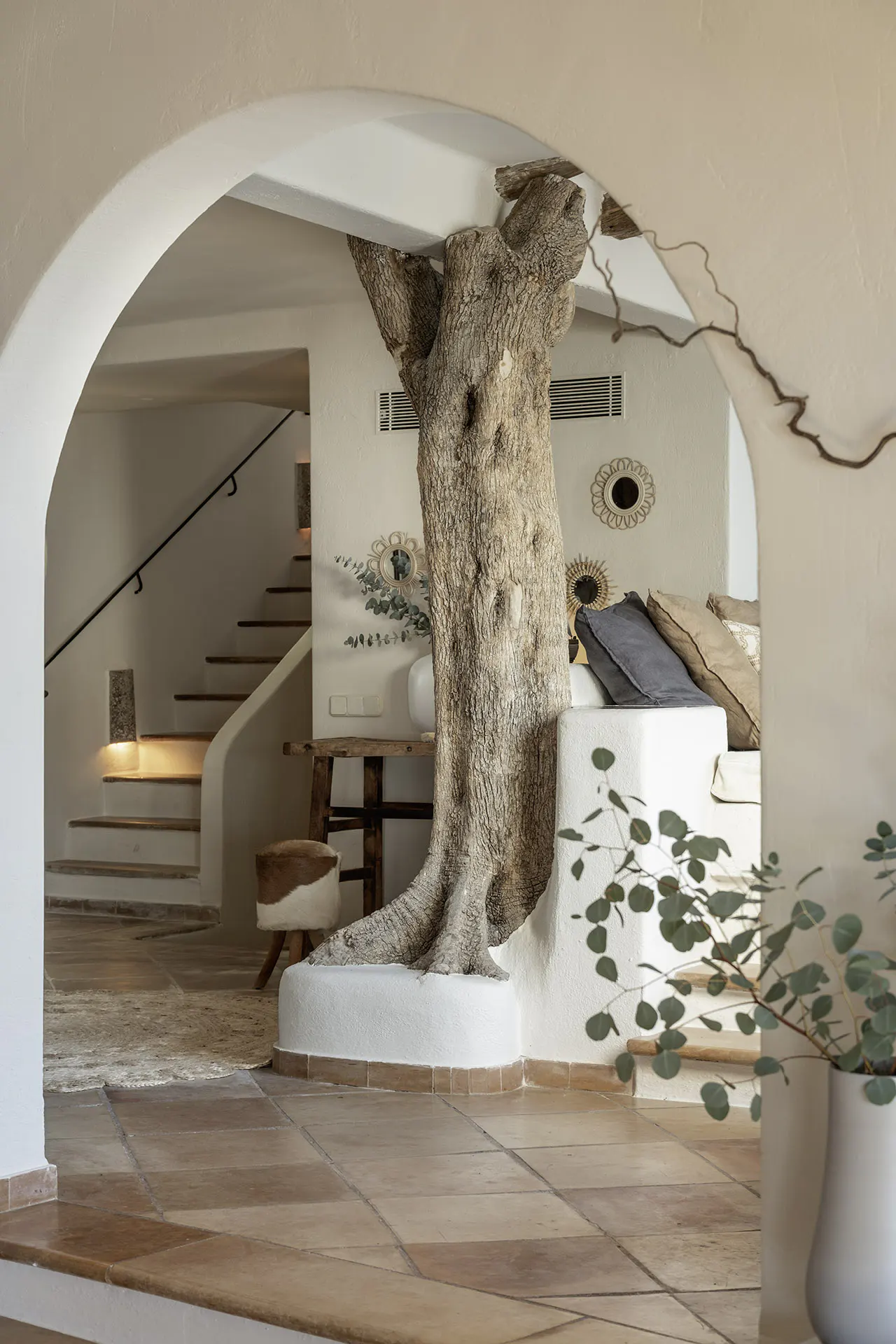 Interior view of a home with a tree trunk as a design element, white walls, and terracotta tile flooring.