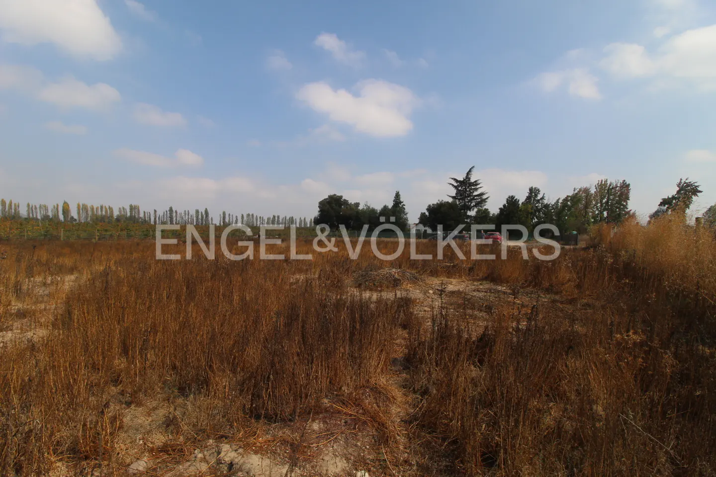 A field of dry grass under a blue sky with scattered clouds, trees in the background, and the Engel & Völkers logo.