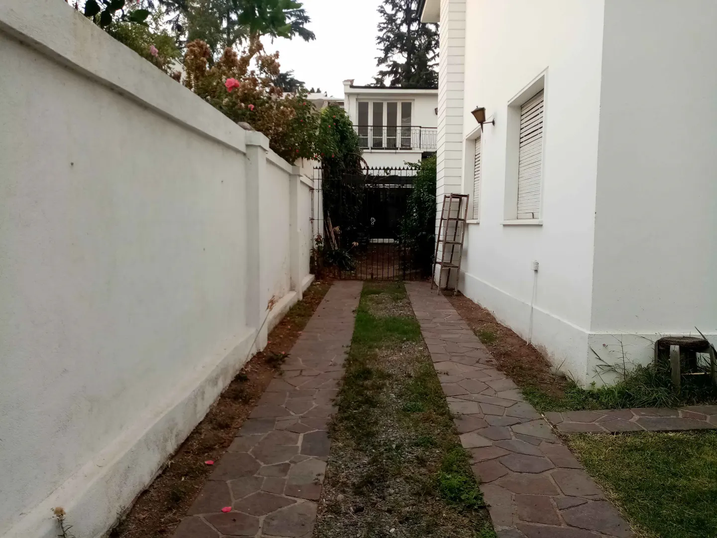 A stone driveway leads to a black iron gate between white walls and a house. A ladder leans against the house.