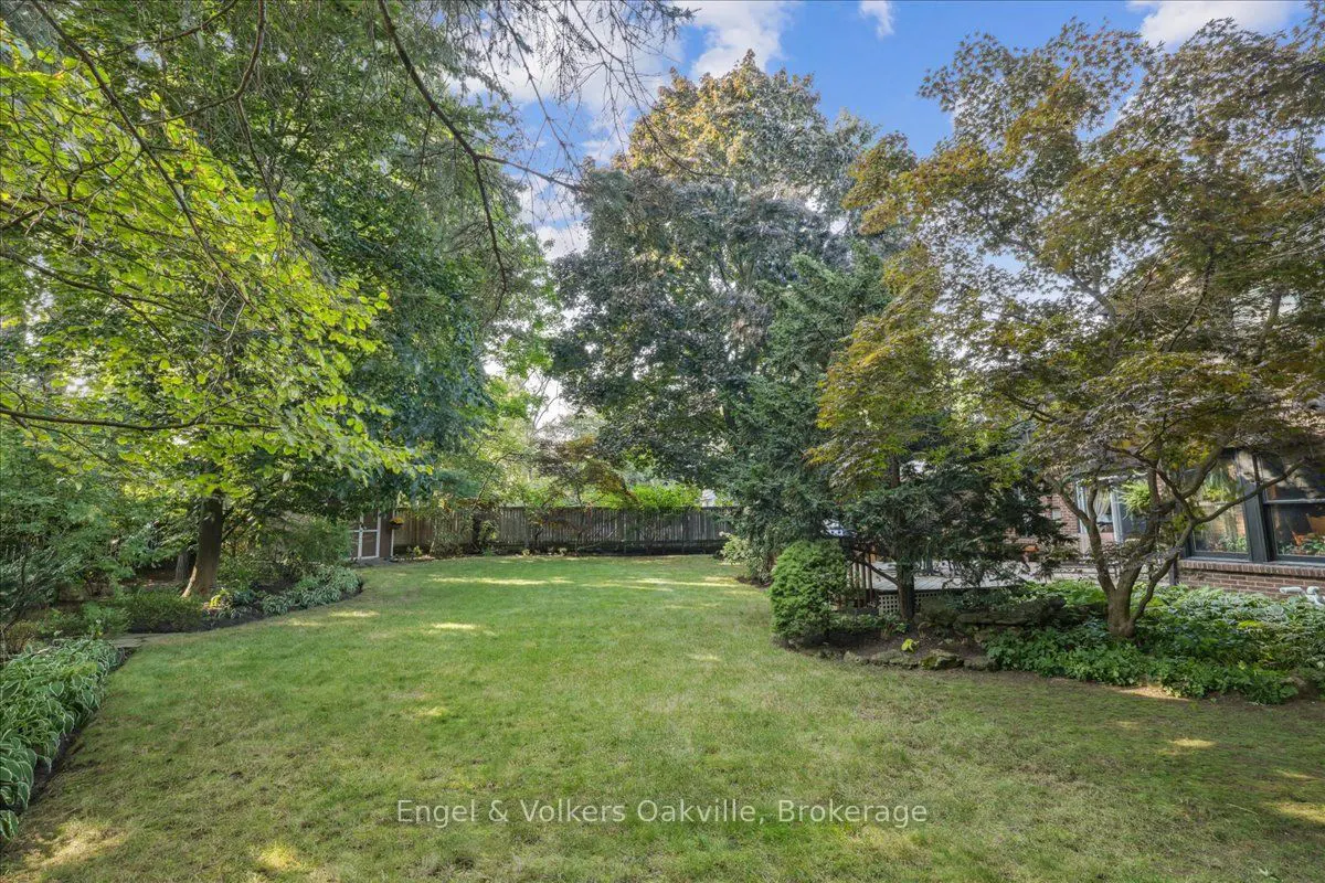 A lush green lawn surrounded by trees and shrubs in a backyard setting. A wooden fence is visible in the background.