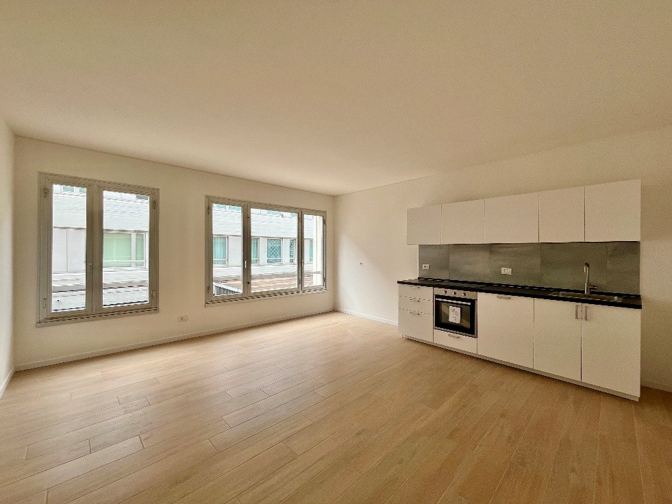Bright downtown apartment