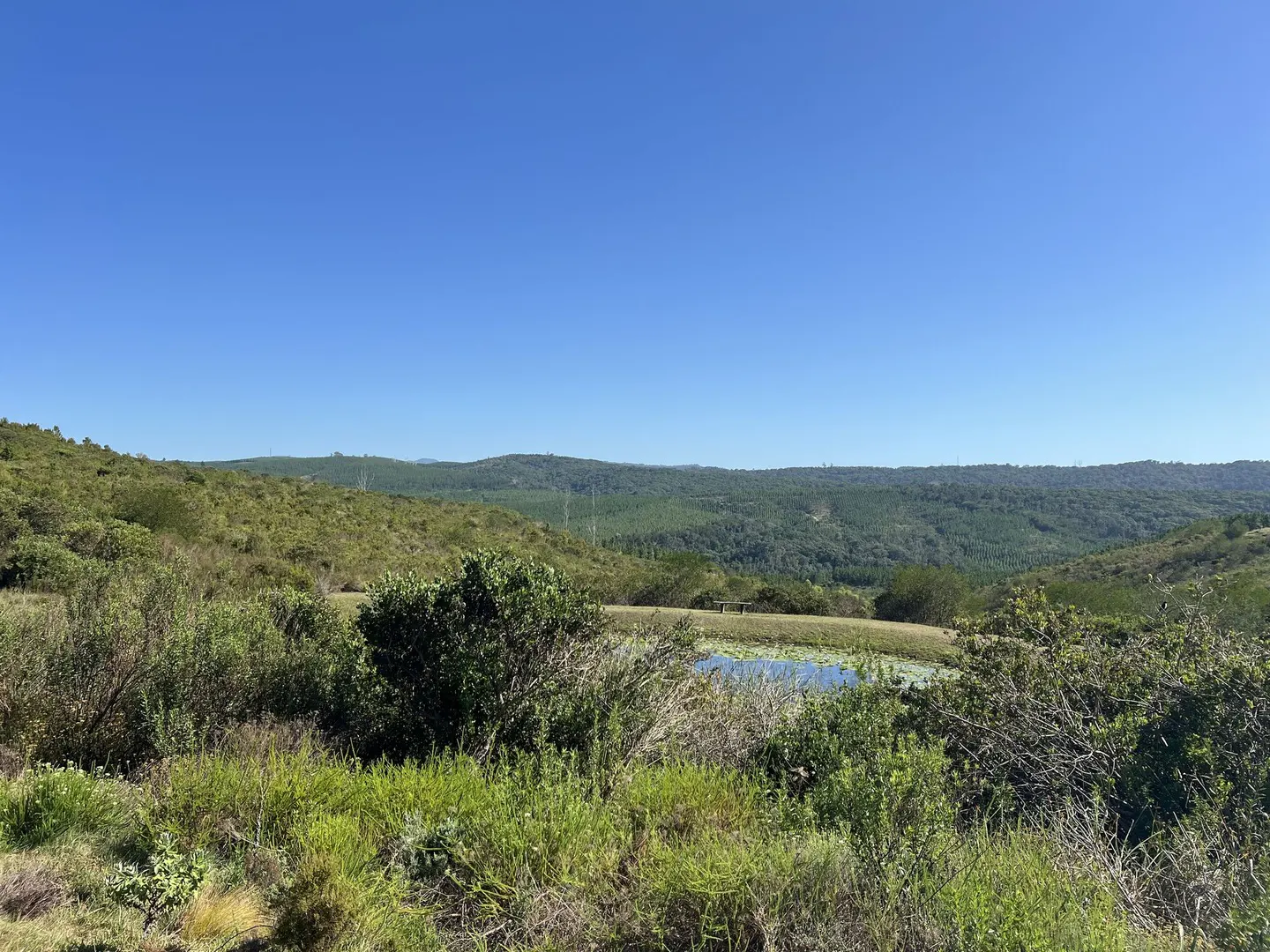 Pezula Private Estate